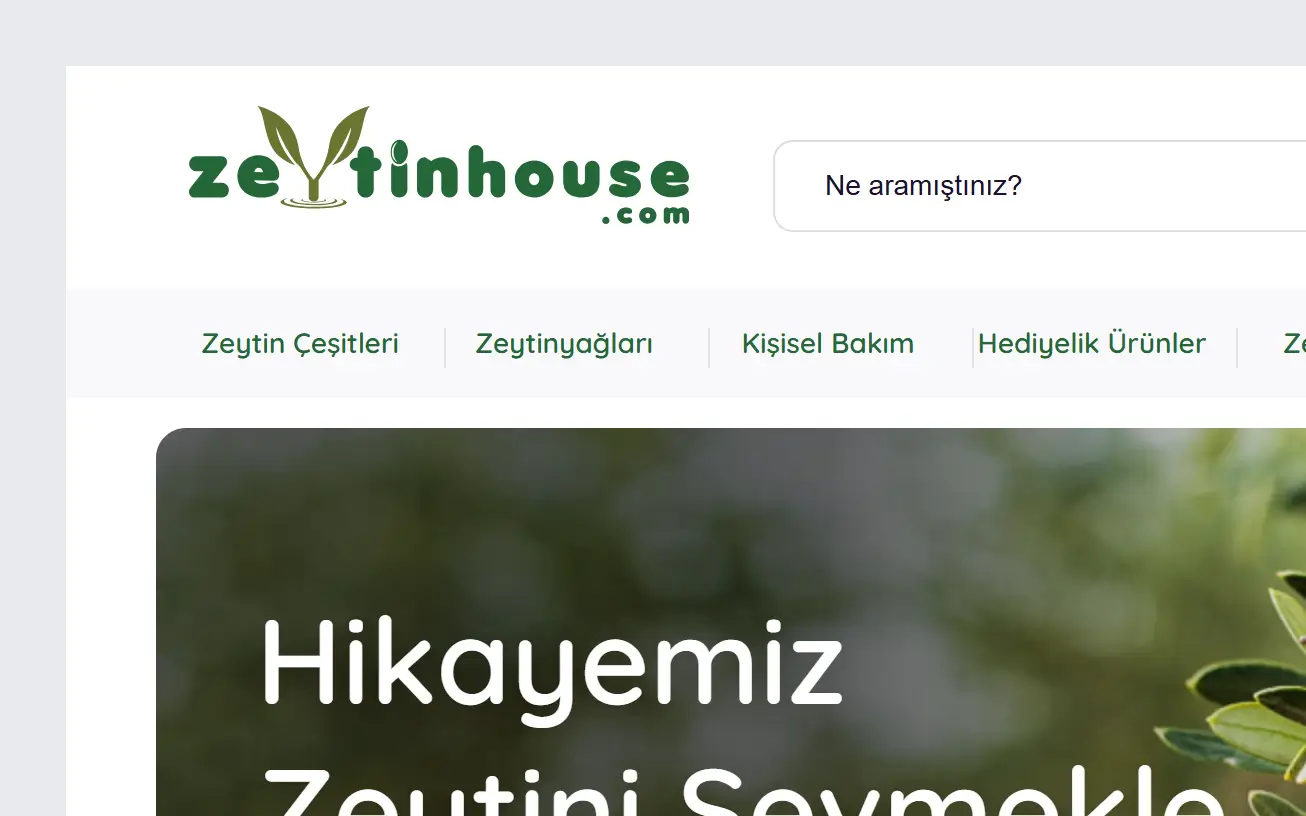 zeytinhouse